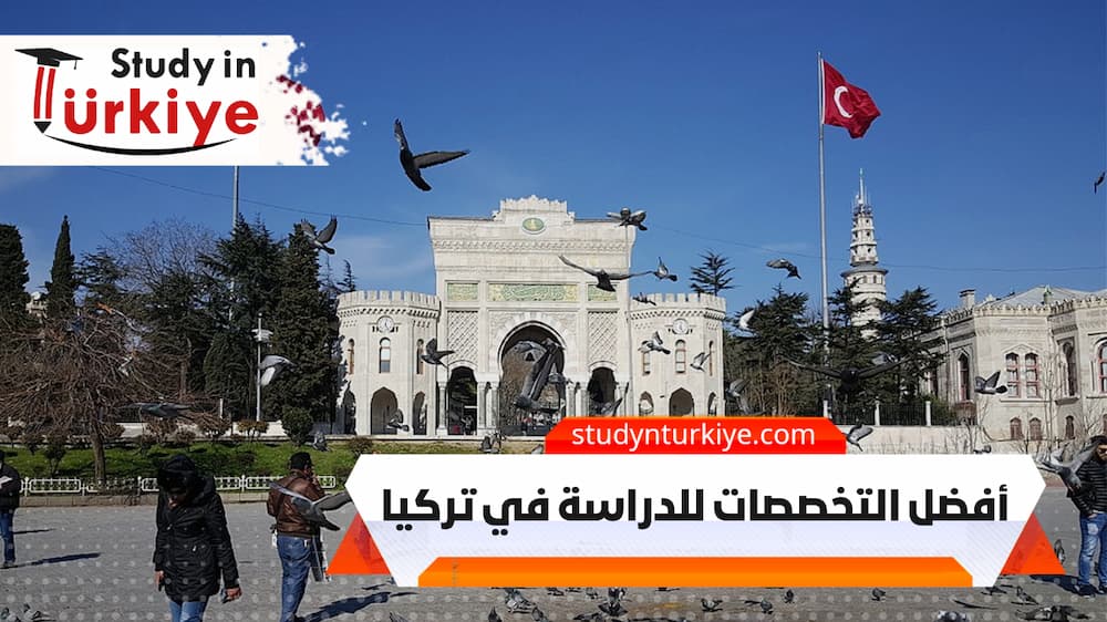أفضل التخصصات للدراسة في تركيا أفضل التخصصات للدراسة في تركيا