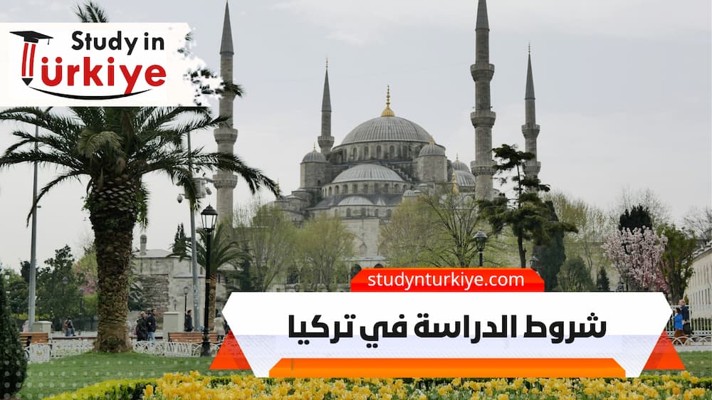 شروط الدراسة في تركيا شروط الدراسة في تركيا