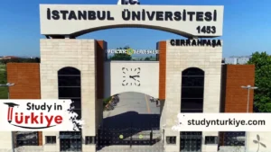 تخصصات جامعة اسطنبول