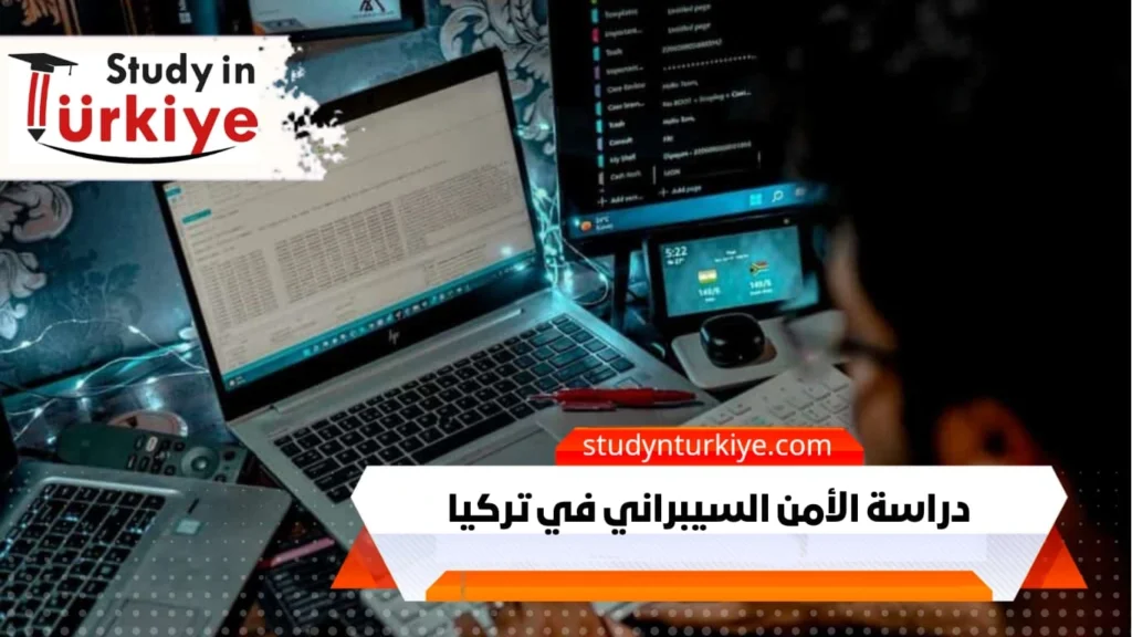 دراسة الأمن السيبراني في تركيا