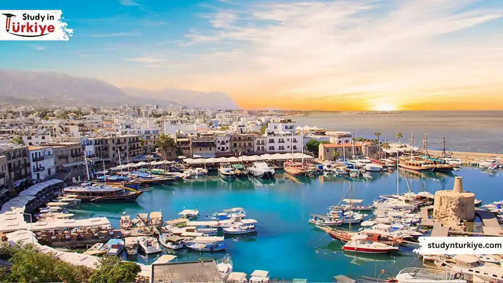 الدراسة في قبرص التركية