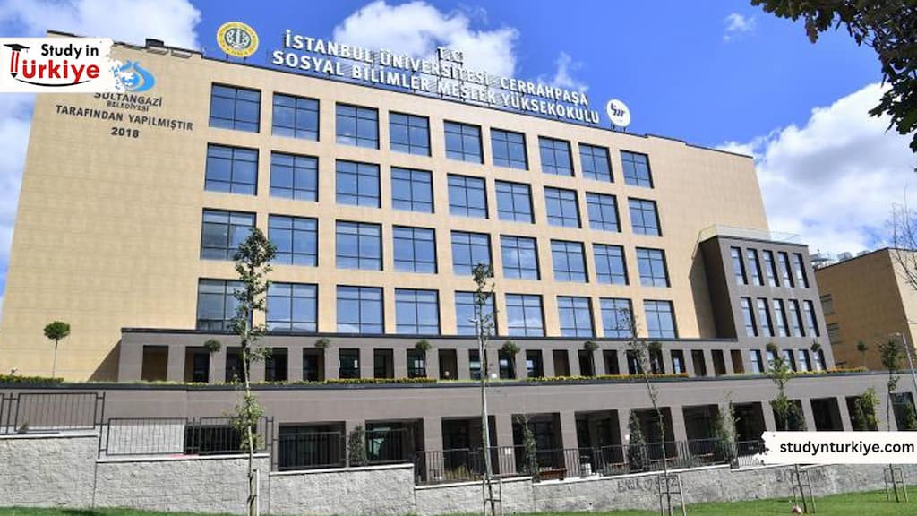 تخصصات جامعة اسطنبول جراح باشا