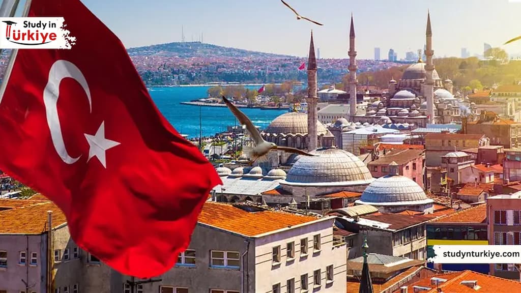 الدراسه في تركيا للعرب