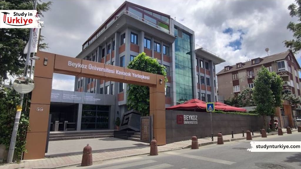 جامعة بيكوز