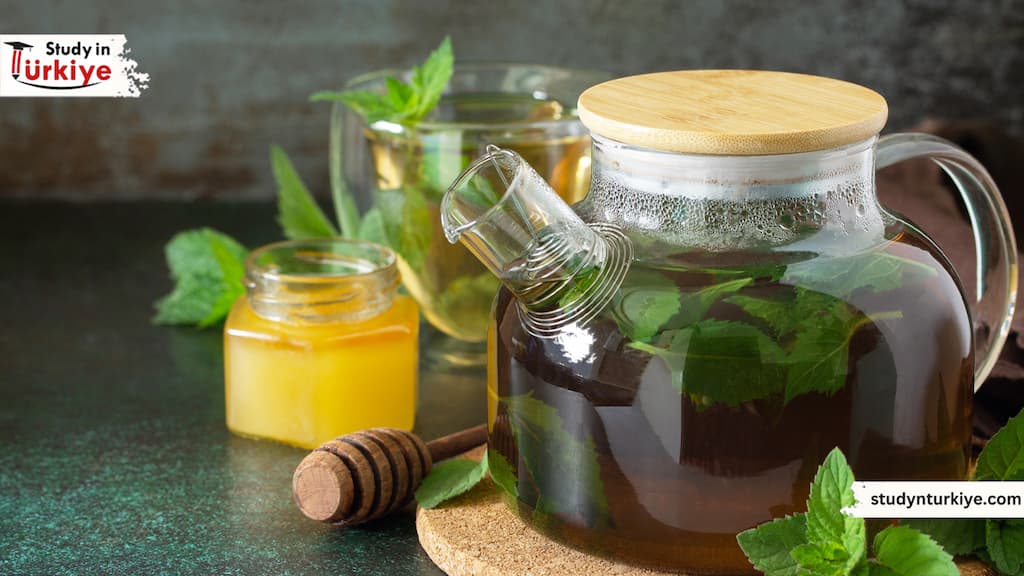 تخصص التغذية العلاجية في تركيا تخصص التغذية العلاجية في تركيا