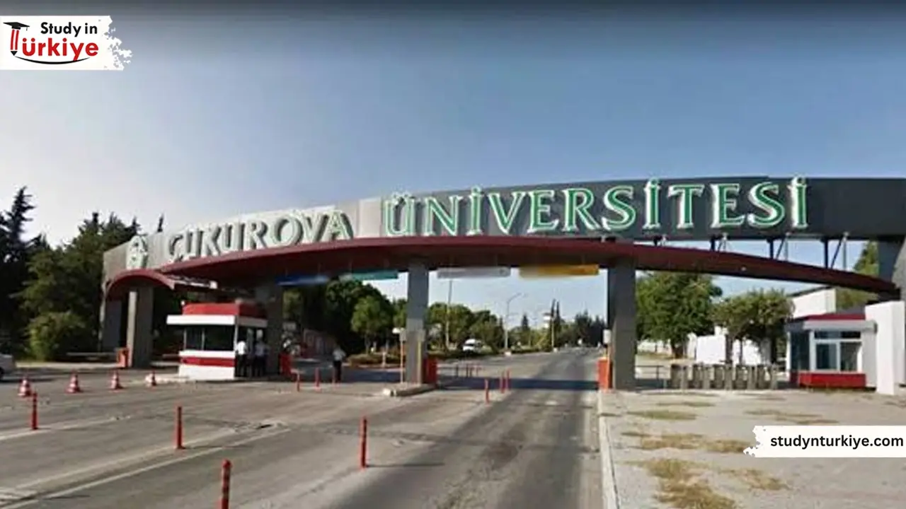 جامعة تشوكوروفا في تركيا