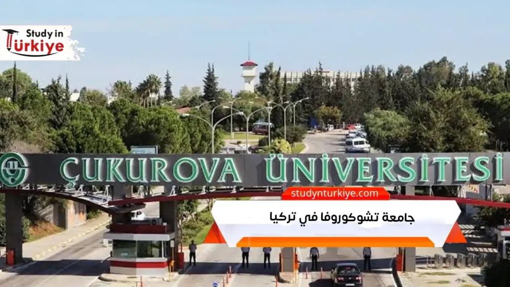 جامعة تشوكوروفا في تركيا
