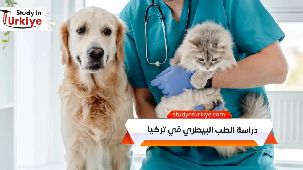 دراسة الطب البيطري في تركيا