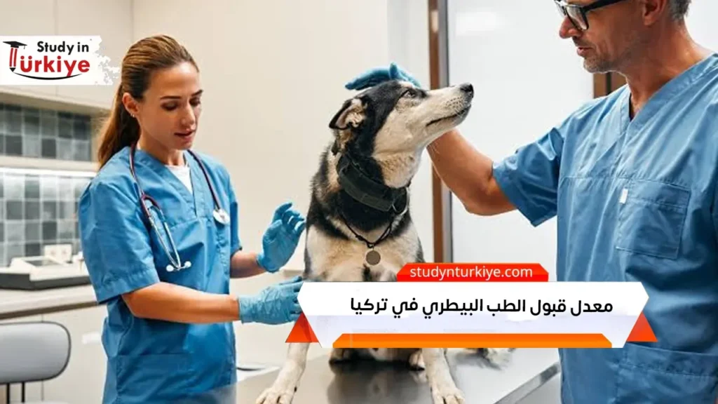 معدل قبول الطب البيطري في تركيا