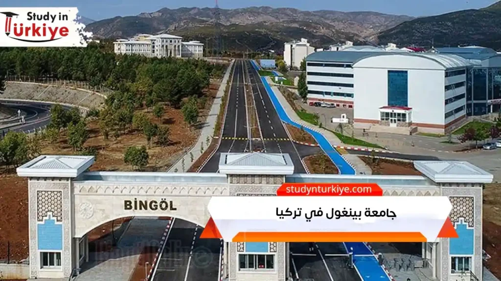 جامعة بينغول في تركيا